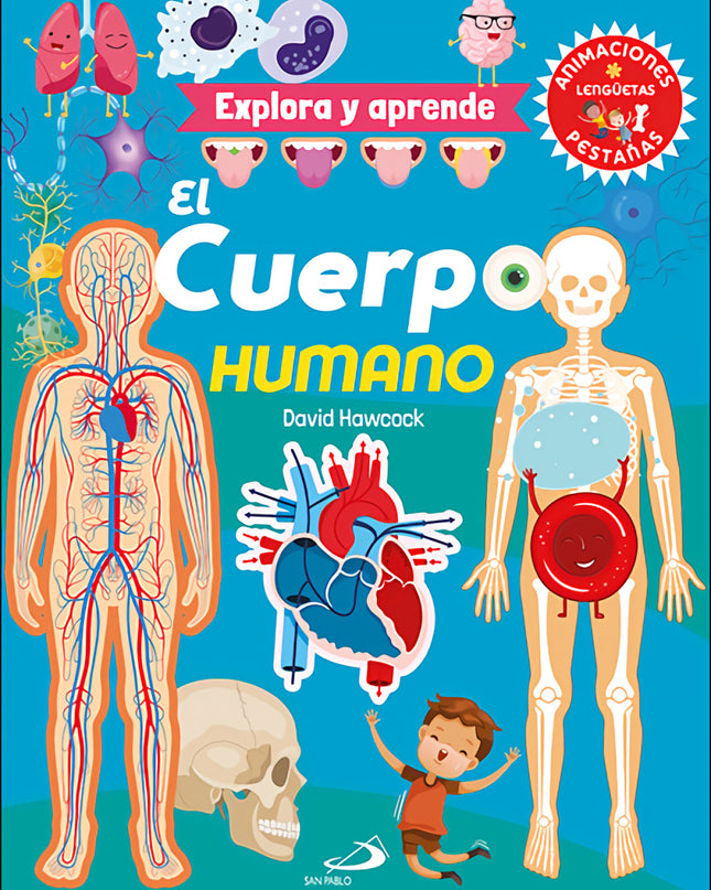El Cuerpo Humano