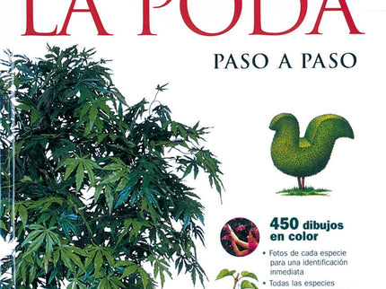 El Abc De La Poda Paso A Paso