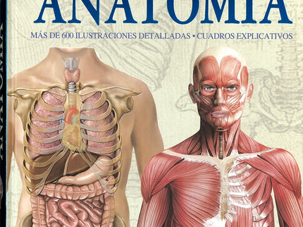 Atlas Ilustrado De Anatomía
