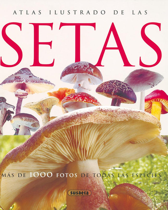 Atlas Ilustrado De Las Setas