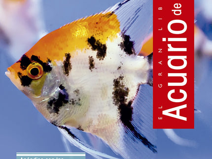 Acuario De Agua Dulce.
