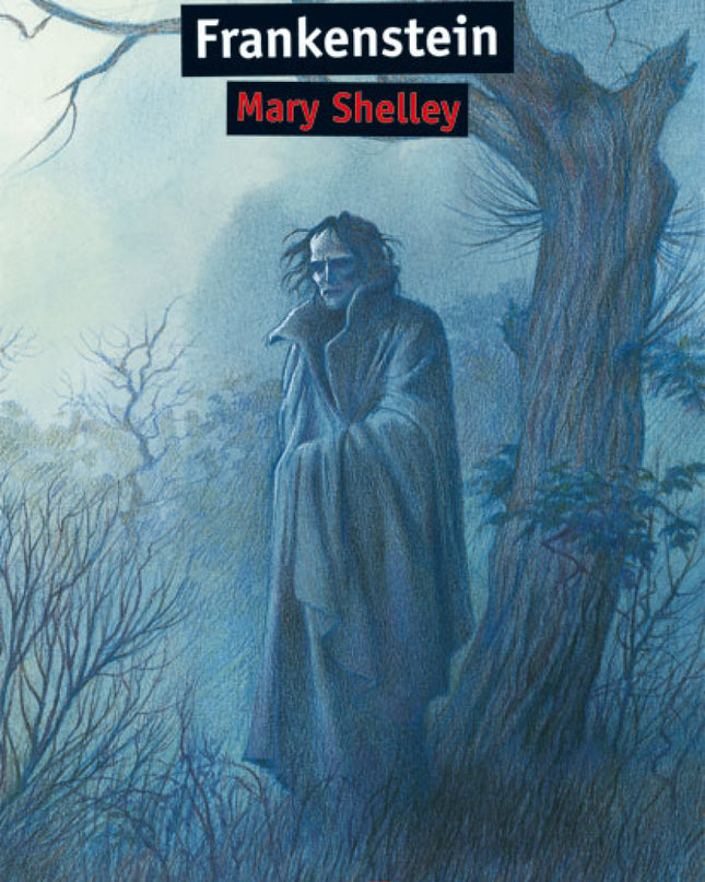 Frankenstein - Aula De Literatura