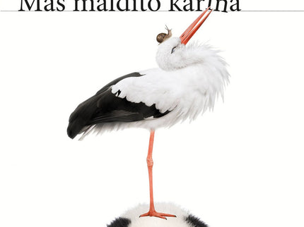Más Maldito Karma