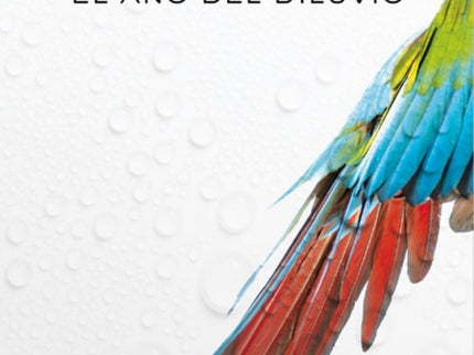 El Año Del Diluvio