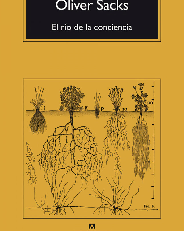 El Río De La Conciencia