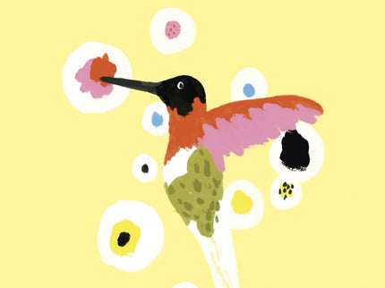 El Colibrí
