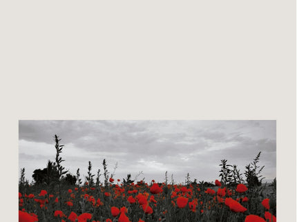 Pequeñas Mujeres Rojas