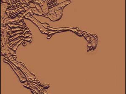 El Origen De Las Especies