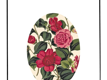 La Dama De Las Camelias