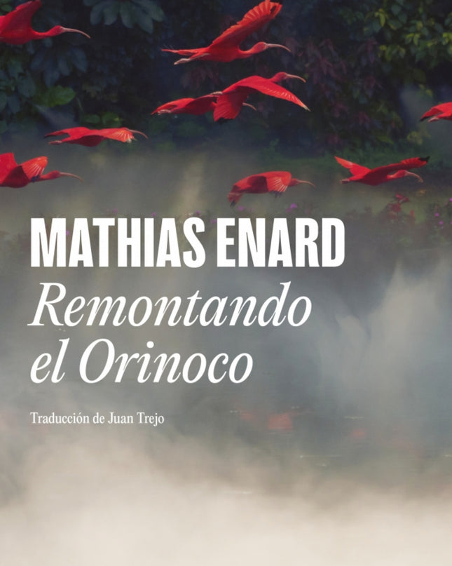 Remontando El Orinoco