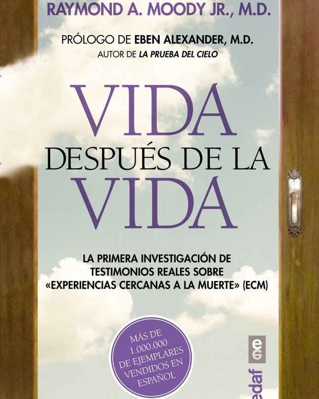 Vida Despues De La Vida
