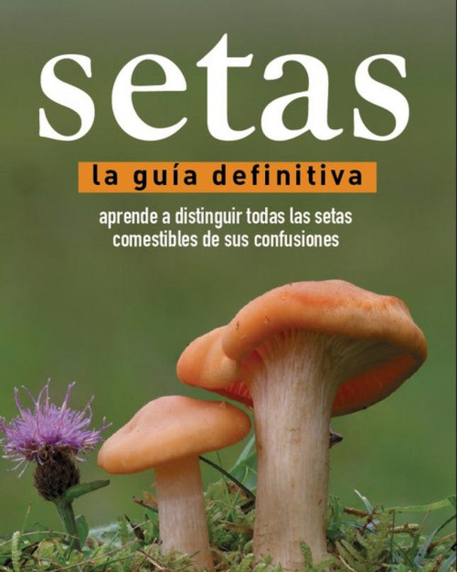 Setas, Guía Definitiva