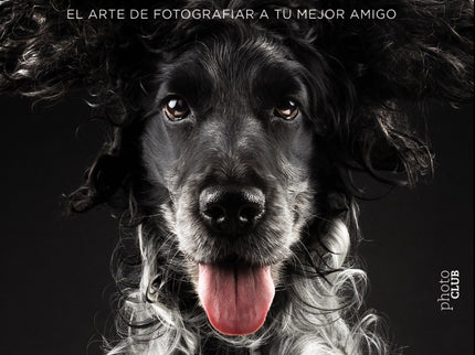 Fotografiar Mascotas