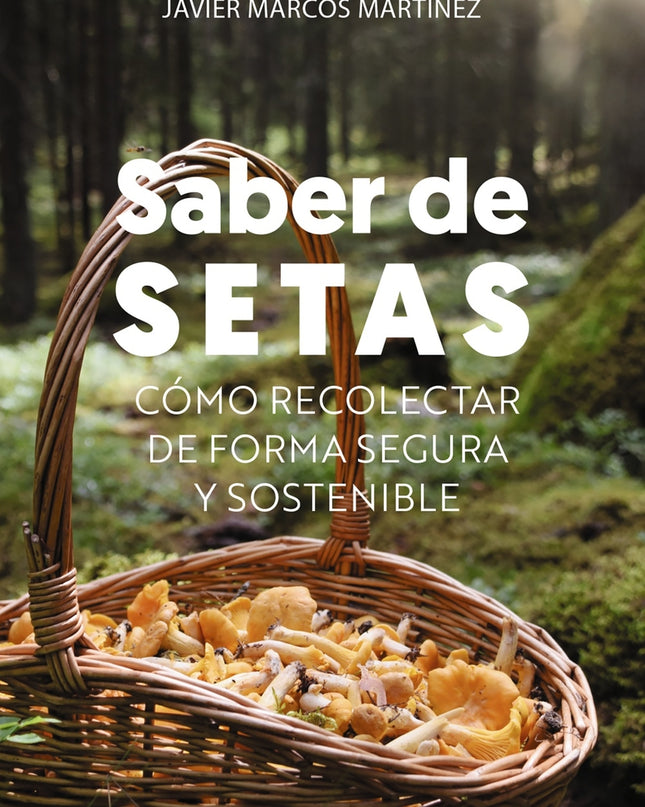 Saber De Setas