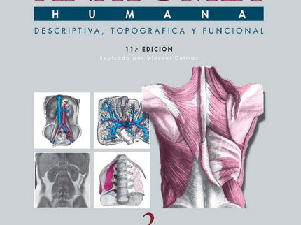 Anatomia Humana Descriptiva Topografica Funcional:tronco