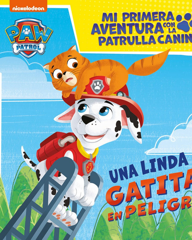 Una Linda Gatita En Peligro