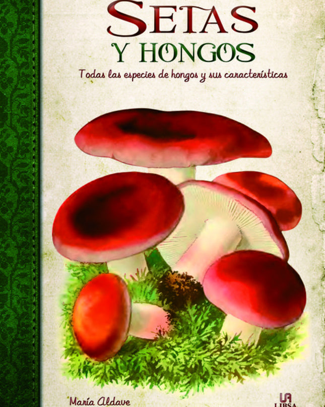 Setas Y Hongos