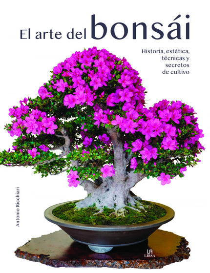 Collection image for: Bonsáis