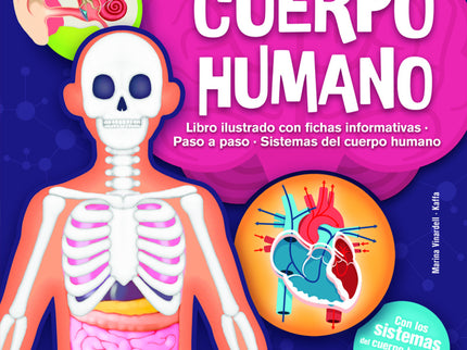Cuerpo Humano