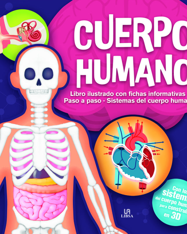 Cuerpo Humano