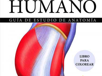 El Cuerpo Humano