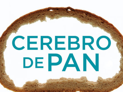 Cerebro De Pan