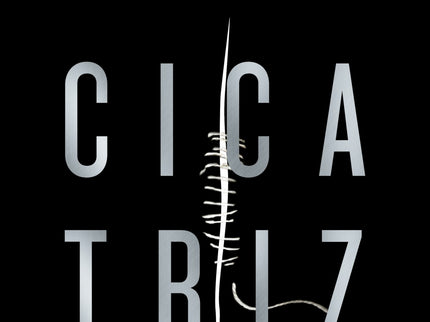 Cicatriz