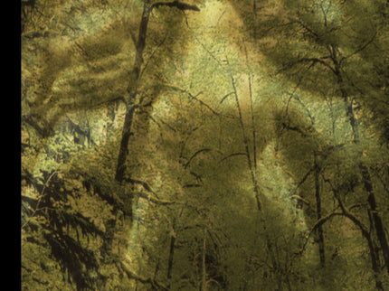 El Bosque Animado