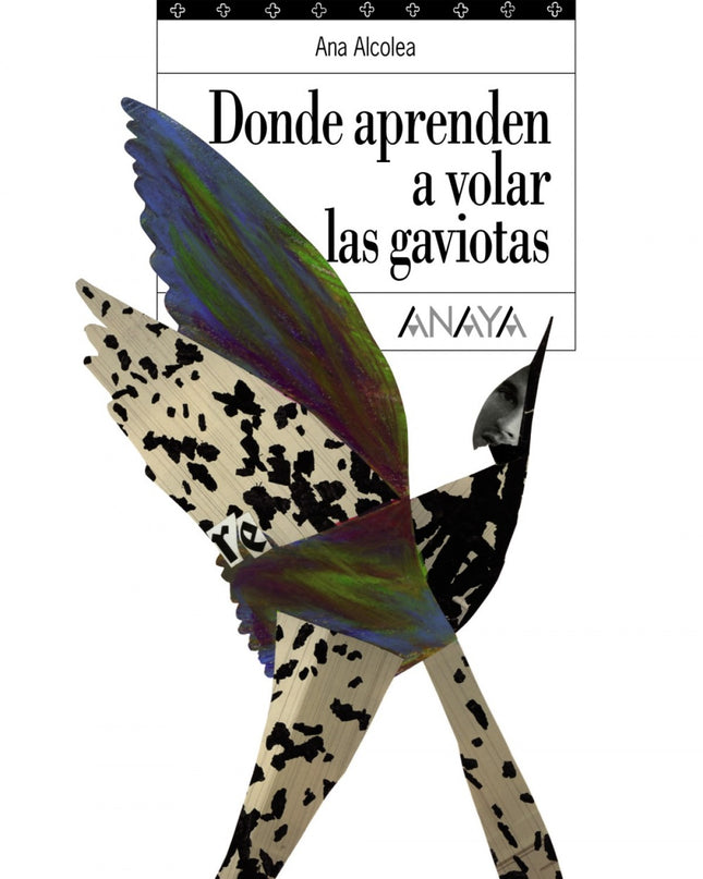 Donde Aprenden A Volar Las Gaviotas