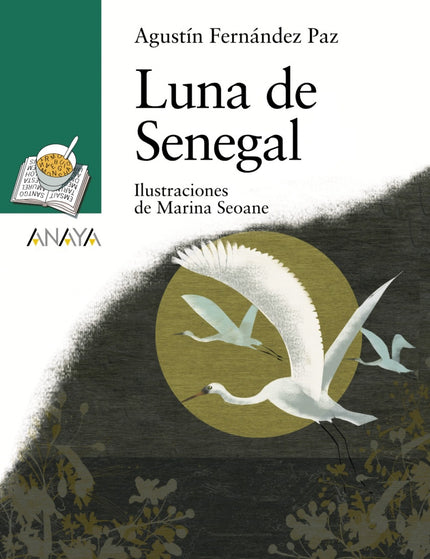 Collection image for: Cuestiones personales y sociales: racismo y multiculturalismo (infantil/juvenil)