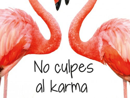 No Culpes Al Karma De Lo Que Te Pasa Por Gilipollas