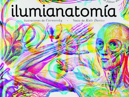 Ilumianatomía
