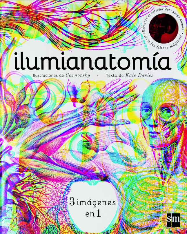 Ilumianatomía