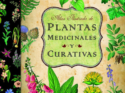 Atlas Ilustrado De Las Plantas Medicinales Y Curativas