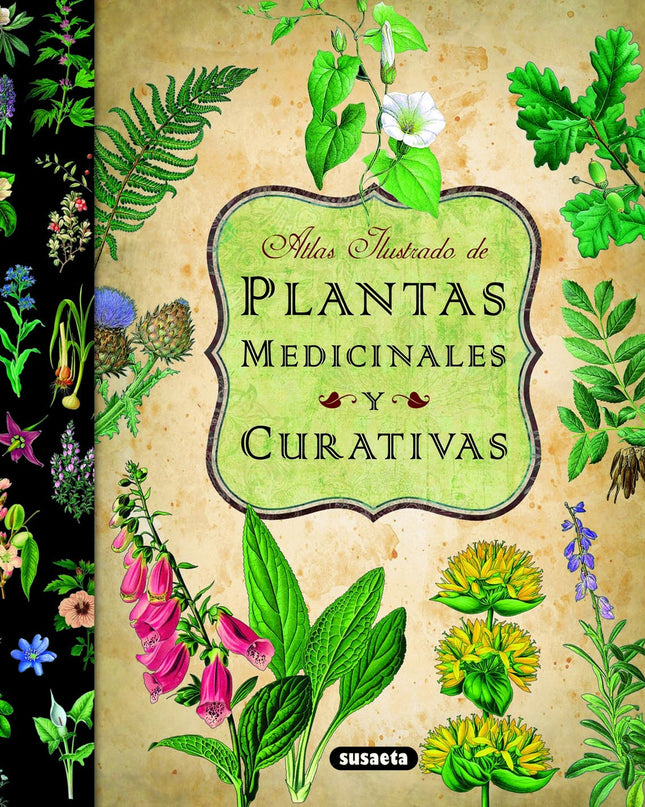 Atlas Ilustrado De Las Plantas Medicinales Y Curativas