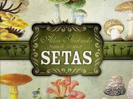 Atlas Ilustrado De Setas