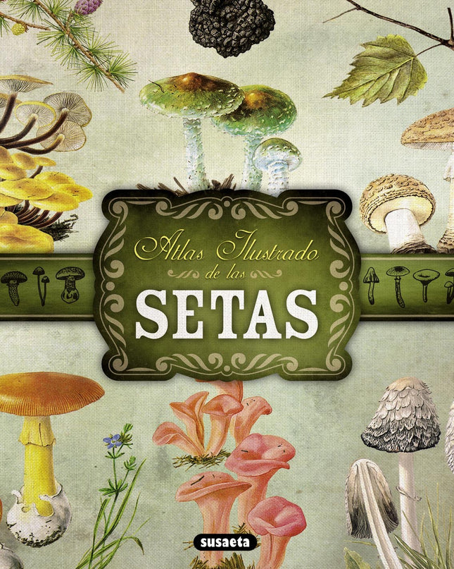 Atlas Ilustrado De Setas