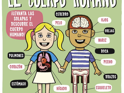 El Cuerpo Humano