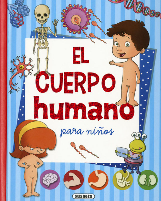 El Cuerpo Humano Para Niños