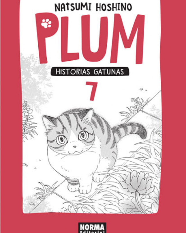 Plum Historias Gatunas