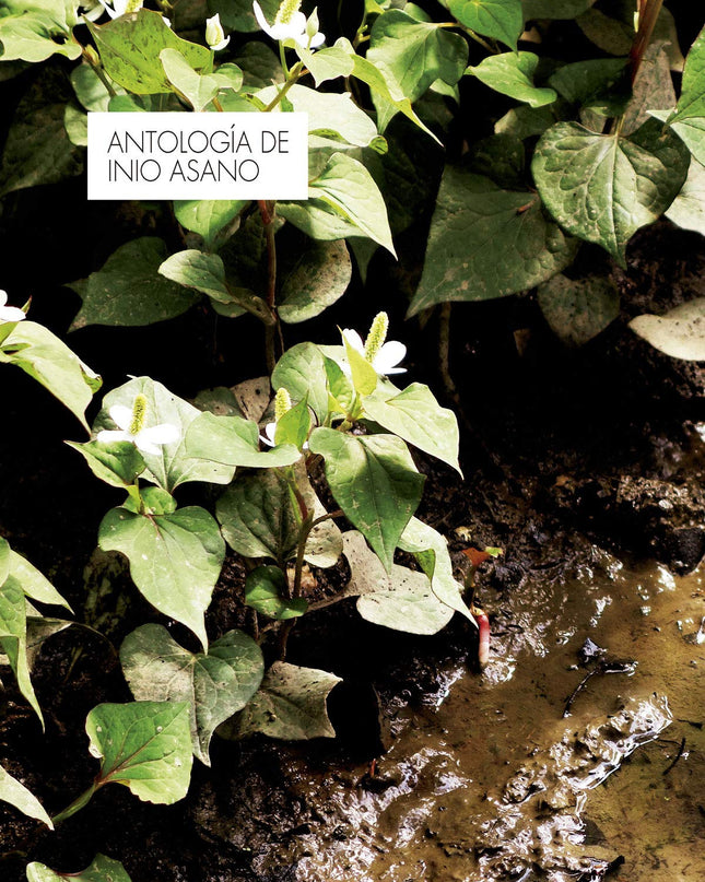Antologia De Inio Asano