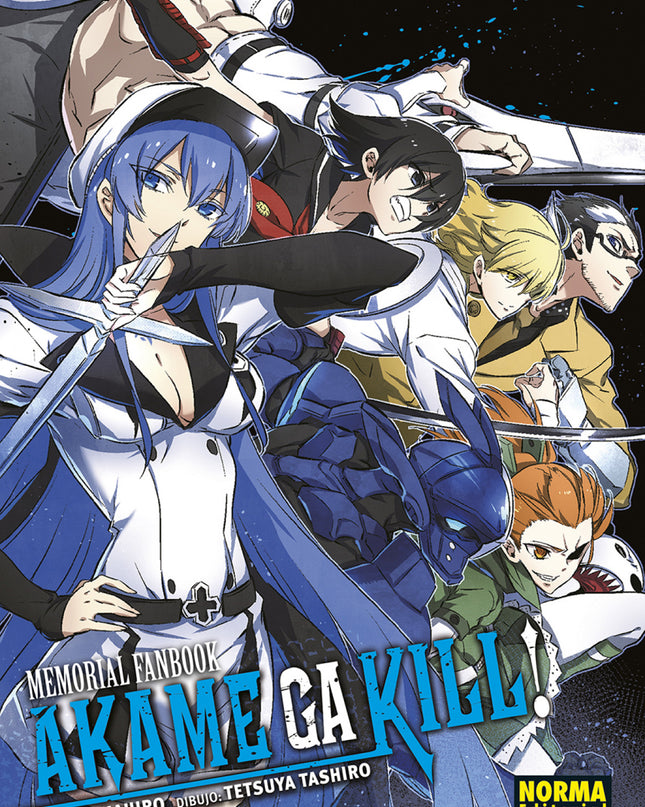 Akame Memorial Fanbook