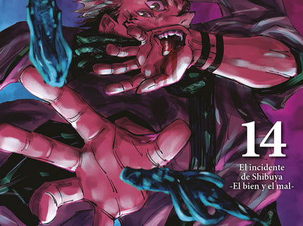 Jujutsu Kaisen 14 (nueva Edición)