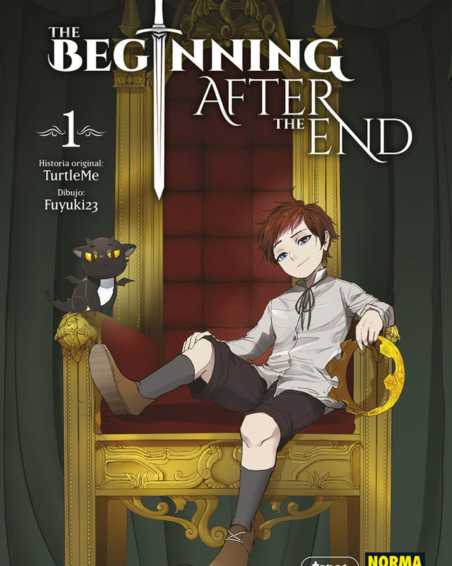 The Beginning After The End 1