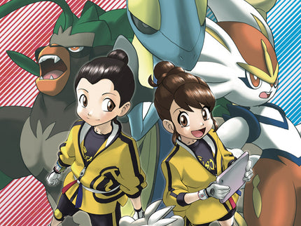 Pokemon Espada Y Escudo 06