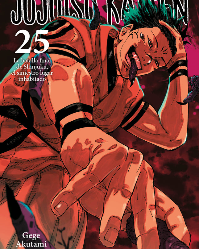 Jujutsu Kaisen 25