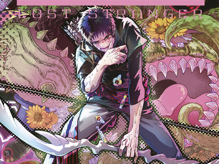 Final Fantasy Lost Stranger 11