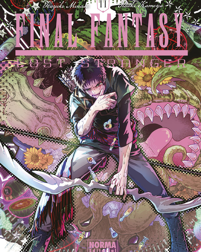 Final Fantasy Lost Stranger 11