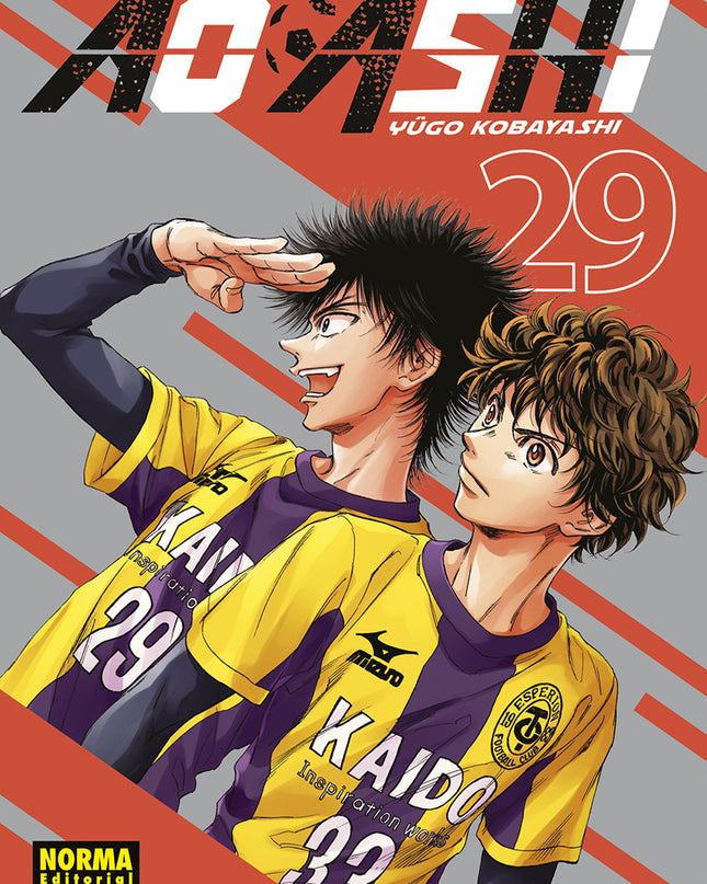 Ao Ashi 29