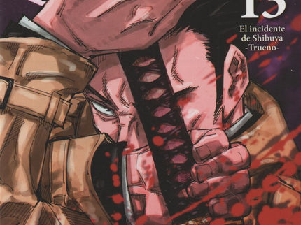Jujutsu Kaisen, 13 (nuevo Pvp )